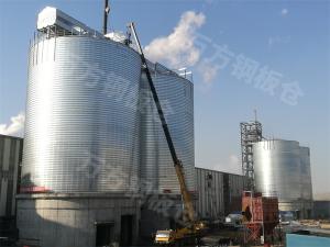 石化（鍛后焦、石油焦）